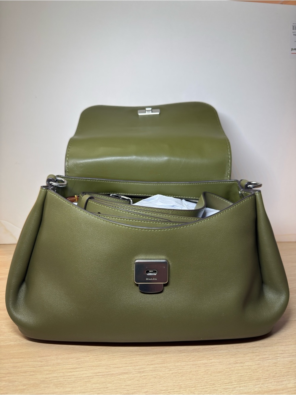 Coach Slouchy Rogue-Green - Picture 6 of 12